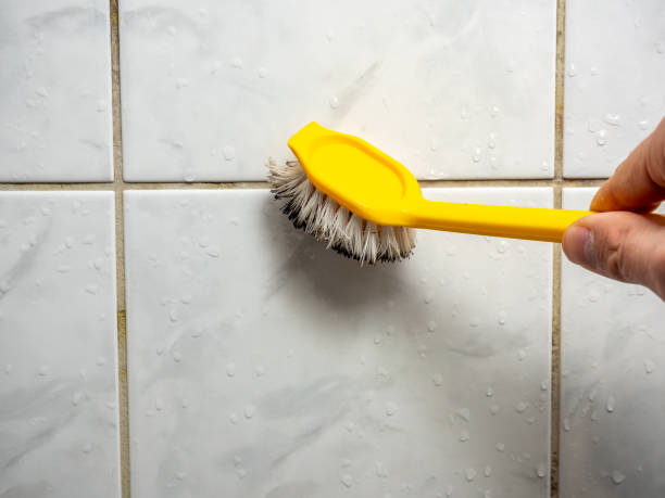 Best Mold Testing  in Contoocook, NH