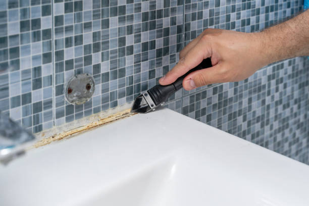 Best Certified Mold Removal  in Contoocook, NH